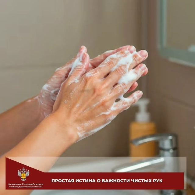 Почему важно регулярно мыть руки?