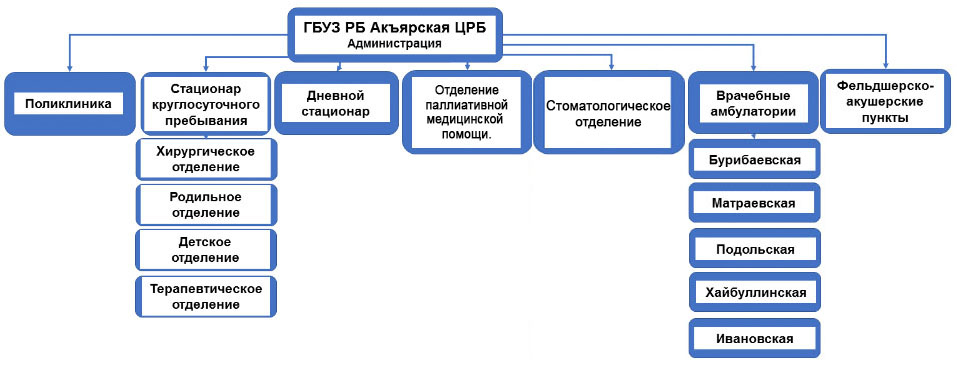 Организационная структура
